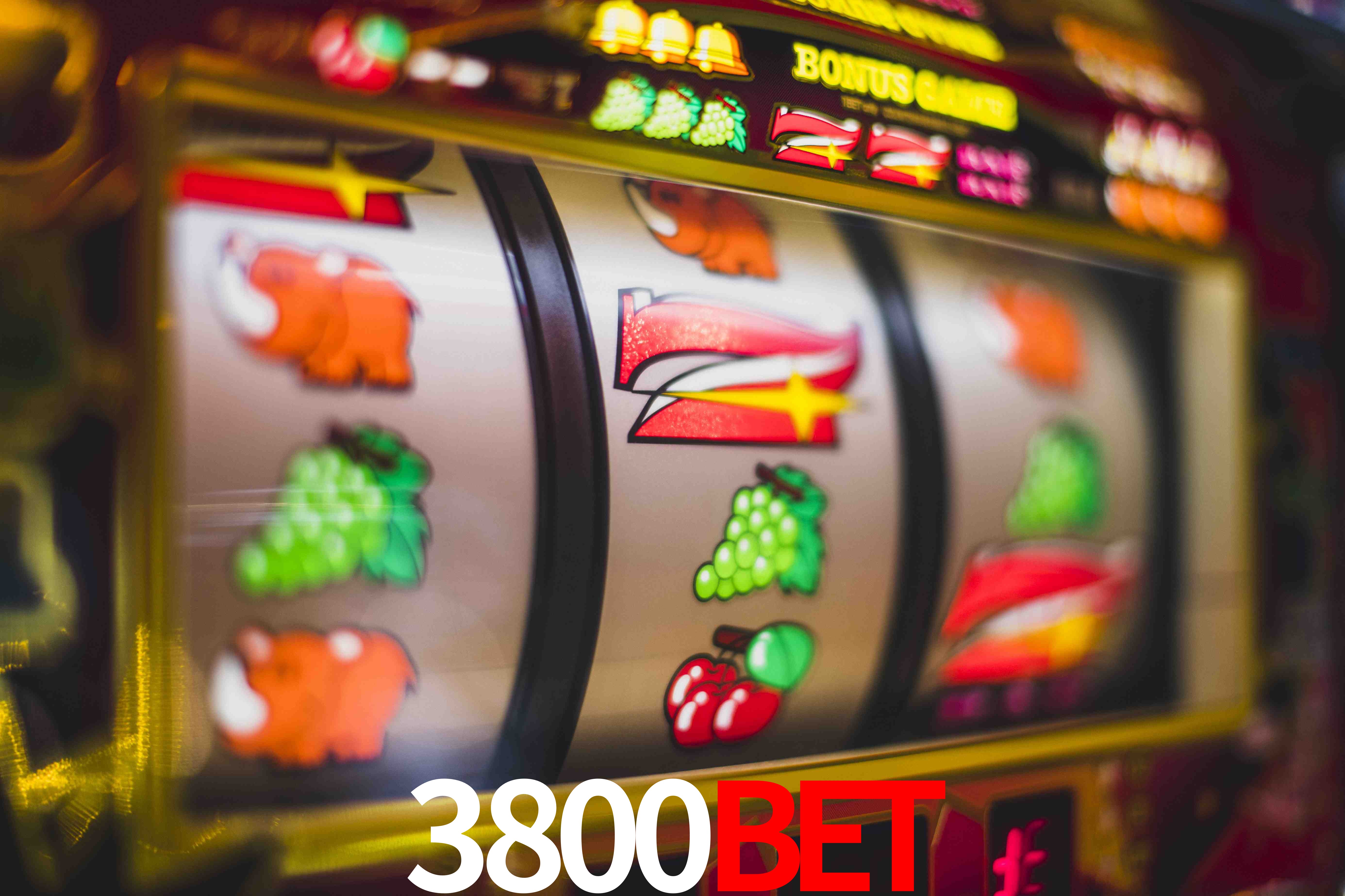 Experiência VIP 3800bet